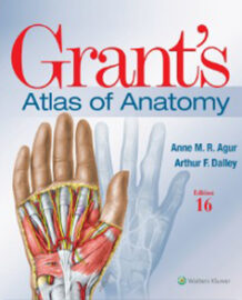 grants-cover-2